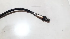 Honda Accord Sonda lambda 36531RL0G01