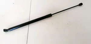 Volkswagen Vento Front bonnet/hood damper/strut 