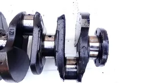 Renault Express Crankshaft 