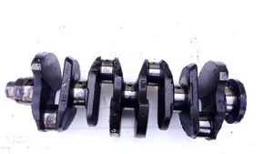 Renault Express Crankshaft 