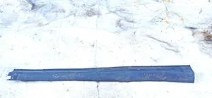 Ford Focus Sill 