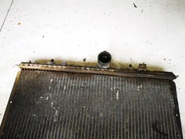 Peugeot 406 Radiateur de refroidissement 