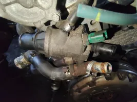 Fiat Idea Tuyau de liquide de refroidissement moteur 55190049