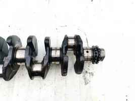 Ford Focus Crankshaft 