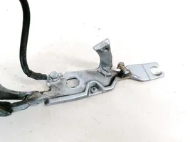 BMW X3 E83 Cerniere del vano motore/cofano 341144703