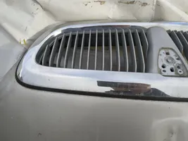 Rover 45 Atrapa chłodnicy / Grill pilkas