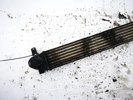 Seat Alhambra (Mk1) Radiatore intercooler 7m3145805