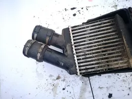 Renault Scenic I Chłodnica powietrza doładowującego / Intercooler 