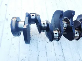 Renault Scenic I Crankshaft 