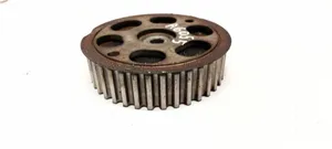 Renault Scenic II -  Grand scenic II Camshaft pulley/ VANOS 2552905