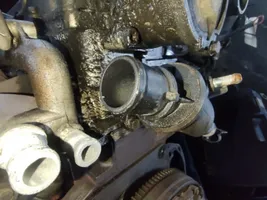 Alfa Romeo 166 Engine coolant pipe/hose v243788