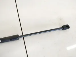 Opel Corsa D Vérin de capot arrière 24463829