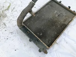 Ford Escort Radiatore di raffreddamento 