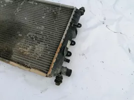 Ford Escort Radiatore di raffreddamento 