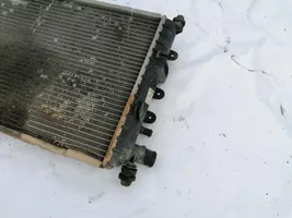 Ford Escort Dzesēšanas šķidruma radiators 