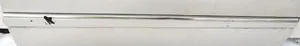 Mercedes-Benz S W220 Front door trim (molding) 