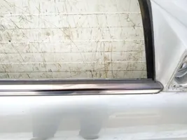 Mercedes-Benz S W220 Listwa / Uszczelka szyby drzwi 