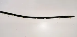 Ford Probe Rear door glass trim molding 