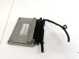 Volkswagen Fox Sterownik / Moduł ECU 03D906023Q