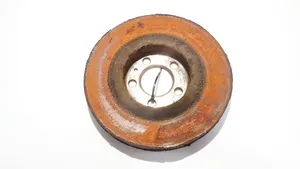 Volkswagen Bora Front brake disc ventiliuojamas