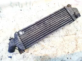 Nissan Primera Chłodnica powietrza doładowującego / Intercooler 14461aw300