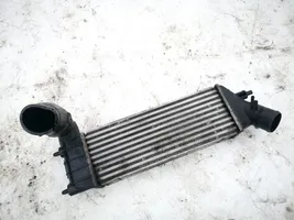 Lancia Phedra Radiatore intercooler 