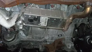 Toyota Verso Chłodnica spalin EGR 256010R020