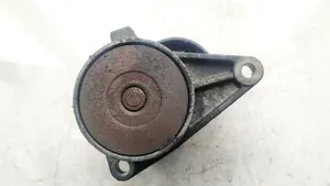 Volvo S60 Generator/alternator belt tensioner 