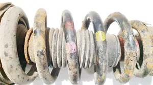 Hyundai Sonata Front coil spring 