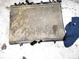 Peugeot 307 Coolant radiator 