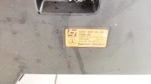 Mercedes-Benz R W251 Subwoofer-bassokaiutin a2518200002