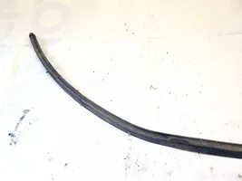 Opel Insignia A Rubber seal front coupe door 