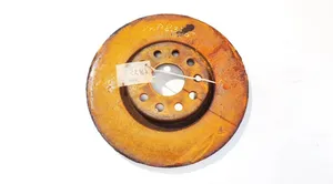 Volkswagen PASSAT B6 Front brake disc ventiliuojamas