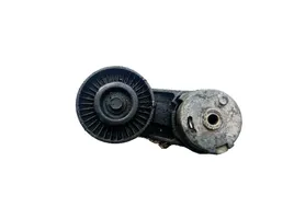 Opel Signum Tendicinghia generatore/alternatore 