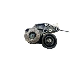 Volkswagen Phaeton Generator/alternator belt tensioner 