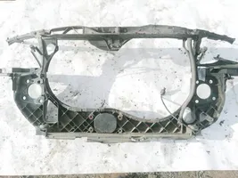 Audi A4 S4 B6 8E 8H Radiatorių panelė (televizorius) 