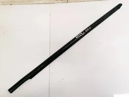 Nissan Note (E11) Rear door glass trim molding 