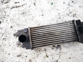 Land Rover Freelander Chłodnica powietrza doładowującego / Intercooler 