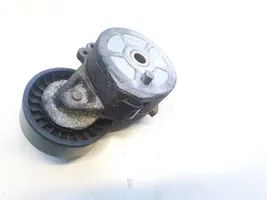 Peugeot 307 Napinacz paska alternatora 