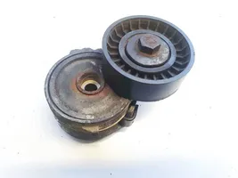 Peugeot 307 Napinacz paska alternatora 