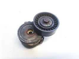 Peugeot 307 Napinacz paska alternatora 