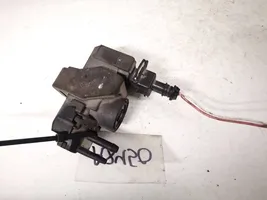 Renault Megane III Solenoidinis vožtuvas 149568021r