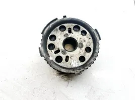 Volkswagen PASSAT B6 Camshaft pulley/ VANOS 038109111e