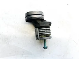 Volkswagen Polo Generator/alternator belt tensioner 