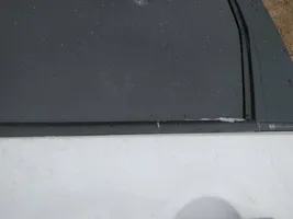 Citroen C3 Picasso Verkleidung Türfenster Türscheibe hinten 