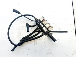 Hyundai Santa Fe Injecteur GPL 110r000040