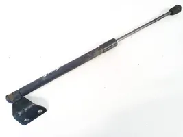 Chevrolet Captiva Tailgate/trunk strut/damper 96830124