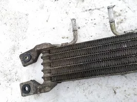 Chevrolet Captiva Refroidisseur de carburant, radiateur 