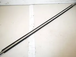 Toyota Avensis T250 Front door glass trim molding 