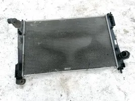 Fiat Punto (188) Radiateur de refroidissement 55700448